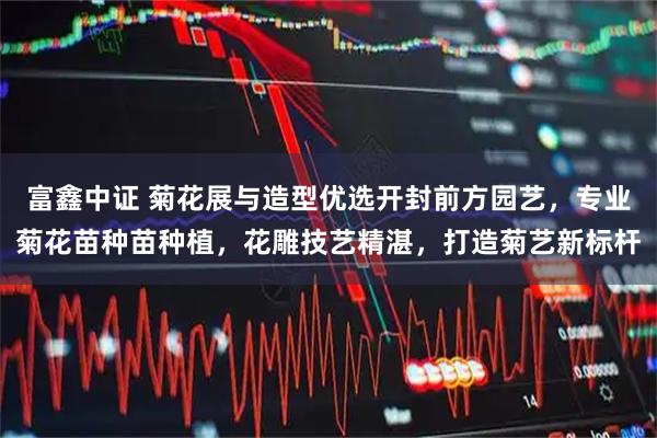 富鑫中证 菊花展与造型优选开封前方园艺，专业菊花苗种苗种植，花雕技艺精湛，打造菊艺新标杆