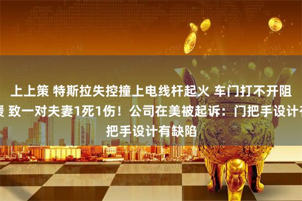 上上策 特斯拉失控撞上电线杆起火 车门打不开阻碍救援 致一对夫妻1死1伤！公司在美被起诉：门把手设计有缺陷